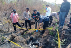 Geger Lamongan! Kerangka Manusia Hangus Ditemukan di Hutan Tebu, Identitas Korban Misterius