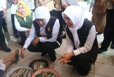  Pemprov Jatim Pastikan Harga Pangan Stabil Jelang Iduladha