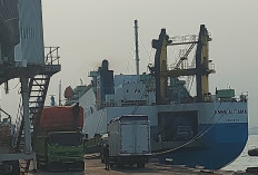 Truk Diduga ODOL Masuk Kapal Milautama di Surabaya, Pengawasan Tanjung Perak Disorot