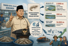 Presiden Prabowo Siapkan Sentra Budidaya Perikanan Ribuan Hektare untuk Dorong Ekspor di Kebumen