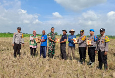 Polsek Malo Gandeng Lintas Sektor Tanam Jagung Bhayangkara, Dukung Ketahanan Pangan di Bojonegoro