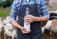 Milkman dan Jejak Distribusi Pangan dari Masa Lalu ke Modern