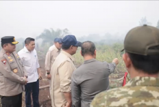 Presiden Prabowo Turun Langsung ke Lokasi Karhutla Kubu Raya, Kawal Penanganan Berjalan Cepat