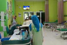 Pastikan Status Kepesertaan Aktif Saat Kondisi Gawat Darurat di Luar Kota JKN Dapat Digunakan