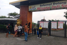 Belum Kantongi PBG, Polisi Usut Insiden Bocah Tewas di Kolam Renang Wisata Jati Sewu Gresik