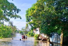 Banjir Kali Lamong Berulang dalam Setahun, DPRD Gresik Minta Pemkab Perkuat Infrastruktur Sungai