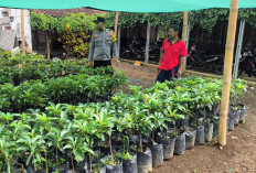 Polsek Sine Ajak Warga Manfaatkan Pekarangan Bergizi, Dukung Ketahanan Pangan Nasional di Ngawi 