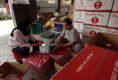 Kios Buah Laweyan Jadi Bukti Nyata Program MBG: Berdayakan Petani Lokal, Angkat Ekonomi Tetangga