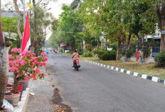 Jogging Pagi Berujung Trauma, Perempuan Surabaya Jadi Korban Pelecehan Seksual Pemotor