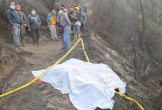 Petaka Karhutla Bromo, Tiga Relawan Meregang Nyawa Terjebak Kobaran Api 