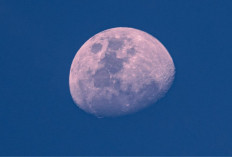 Mengapa Bulan Purnama 1 April 2026 Disebut Pink Moon? Cek Mitos dan Faktanya