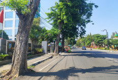 Trotoar Jalan Gus Dur Jombang Siap Dipoles, Proyek Rp1,1 Miliar Segera Dilelang