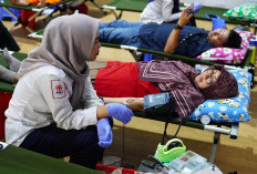 Gelar Donor Darah HUT RI, PLN Indonesia Power UBP Grati Kumpulkan 70 Kantong