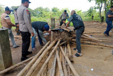 Polisi Bongkar Arena Judi Sabung Ayam di Lolawang Mojokerto