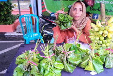 Tape Ketan Ijo Godong Kloso Buatan Susi Liniswati Laris Manis, UMKM Binaan BRI di Kalitidu Bojonegoro