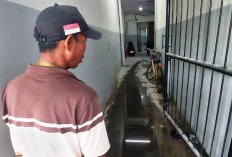  Dua Pelaku Gasak Motor Pengunjung RedDoorz Pucang Anom Surabaya