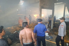 Dua Kebakaran di Lamongan Hanguskan Gudang Tembakau dan Kandang, Kerugian Tembus Rp285 Juta