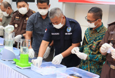 Kejari Lamongan Musnahkan Ratusan Gram Sabu dan Ganja