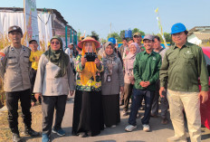 Petani Jagung Sambisirah Wonorejo Mulai Dikenalkan Drone dan Mesin Combine Harvester