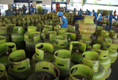 Pakar Ekonomi: Strategi Hemat Energi Tanpa Mengorbankan Produktivitas