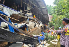 Polres Malang Dalami Unsur Kelalaian Robohnya Kandang Ayam di Wonosari