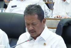 Produksi Kelautan dan Perikanan RI Tumbuh 3,8 Persen, Capai 26,25 Juta Ton pada 2025 