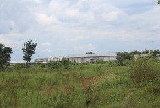 Aset Rp 22 Miliar Menganggur, Peruntukan Lahan di Denanyar Tak Jelas