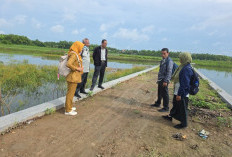 Banjir Rendam Ratusan Hektare Sawah, DPRD Jombang Dorong Evaluasi Pabrik di Ploso
