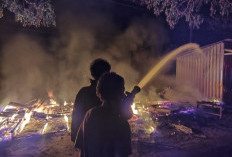 Diduga Korsleting, Warung di Ujungpangkah Gresik Ludes Terbakar