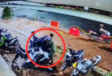Terekam CCTV, Tim Alugoro Satpol PP Gagalkan Aksi Curanmor di Kota Lama