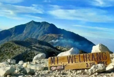 Jalur Pendakian Arjuno-Welirang Kembali Buka Usai Kebakaran Hanguskan 642,87 Hektare