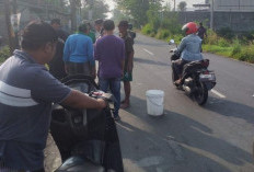 Bertabrakan di Jalur Black Spot Cerme Gresik, Dua Pengendara Motor Luka Berat