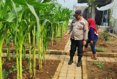Polisi Pantau Lahan Jagung Desa Randegan, Ajak Petani Dongkrak Swasembada Pangan