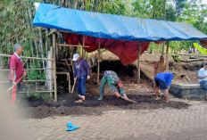 Babinsa Ranuyoso Bersama Warga Normalisasi Drainase