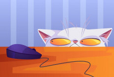 Bukan Sekadar Iseng, Inilah Alasan Ilmiah Kucing Hobi Menjatuhkan Barang 