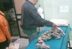 Bayi Satu Tahun Dikira Meninggal Tak Wajar, Ternyata Disebabkan Sakit