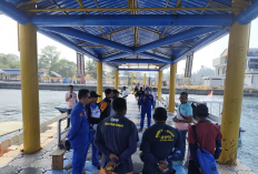 Polisi Dalami Dugaan Perburuan Penyu Sisik oleh WNA Tiongkok di Raja Ampat