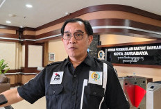 Kasus ISPA Surabaya Melonjak 63,5 Persen, DPRD Ingatkan Orang Tua Waspadai DBD