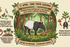 Peringati Hari Tapir Sedunia, Begini Cara Melestarikan Satwa Dilindungi Ini