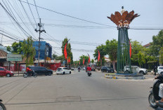 Harapan Baru UMKM Jember, Wajah Malam Jalan Kartini Siap Menjelma Jadi Pusat Kuliner Tematik