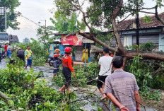 Lima Rumah Rusak Diterjang Hujan Angin Kencang