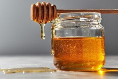 Rahasia Madu, Obat Alami Ampuh untuk Membantu Pemulihan Berbagai Penyakit
