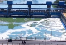 Sungai Berbusa Pascakebakaran, DLH Jatim Awasi Pemulihan Kali Surabaya