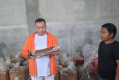 Mas Rio Dorong Pengembangan Tembakau Tambheng sebagai Identitas Lokal Situbondo