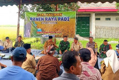 Tasyakuran Panen Raya Padi di Tulungagung, Poktan Mojoagung Gelar Tumpengan Massal