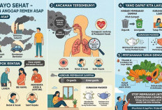 Jangan Anggap Remeh Asap
