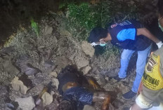 Jasad Pria Lansia Ditemukan Membusuk di Baluran, Diduga Meninggal Karena Sakit
