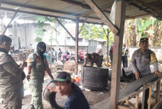 Polsek Lakarsantri Gerebek Arena Sabung Ayam di Sambikerep, Pemain Judi Kocar-kacir