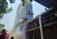 Mesin Blower Terganjal Serbuk Kayu, Area Produksi Pabrik di Driyorejo Gresik Terbakar