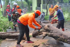 Cuaca Ekstrem Intai Pasuruan, BPBD Minta Warga Waspada Puting Beliung
